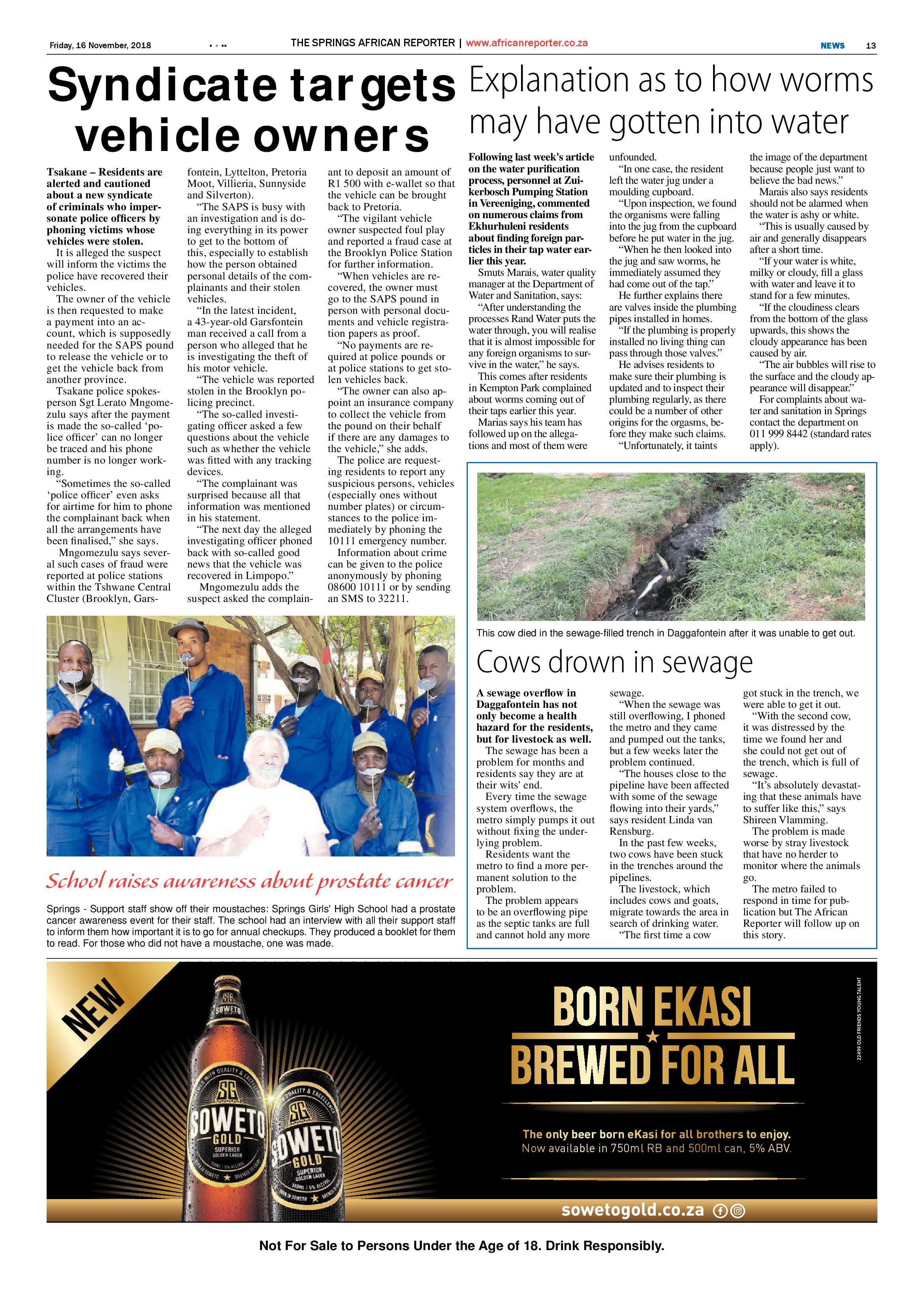 African Reporter 16 November 2018 page 13