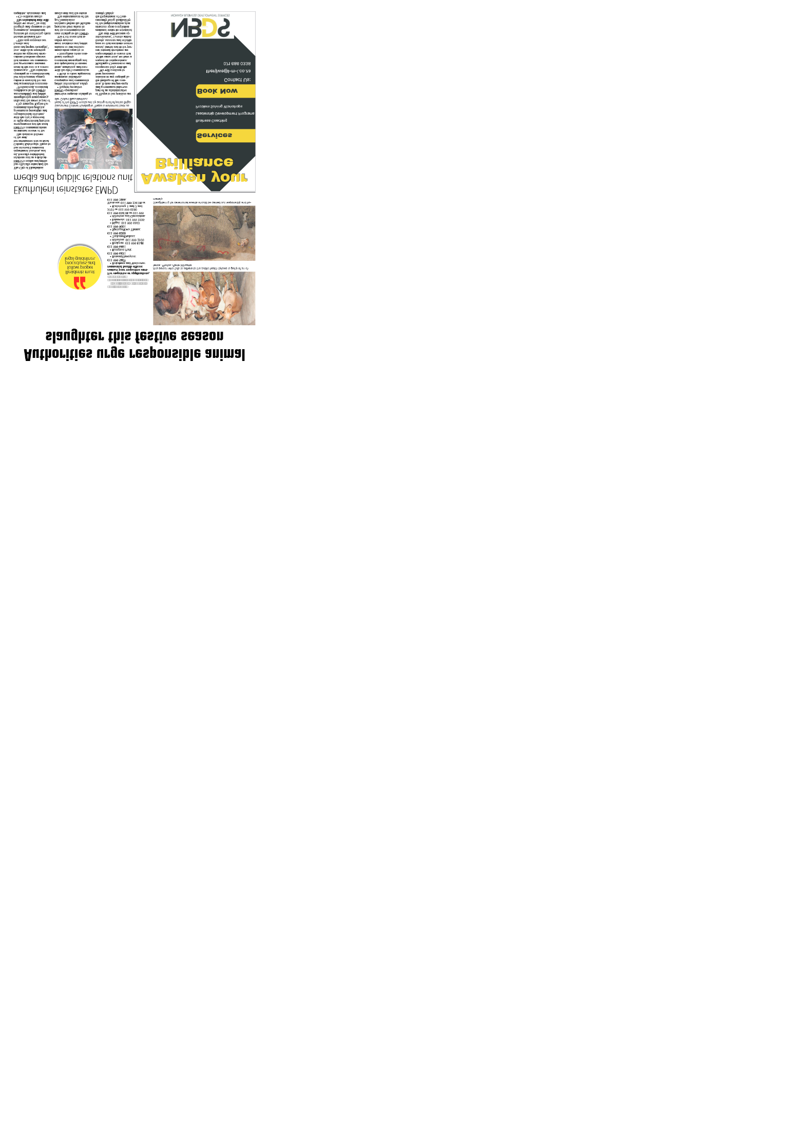 African Reporter 21 November 2025 page 7