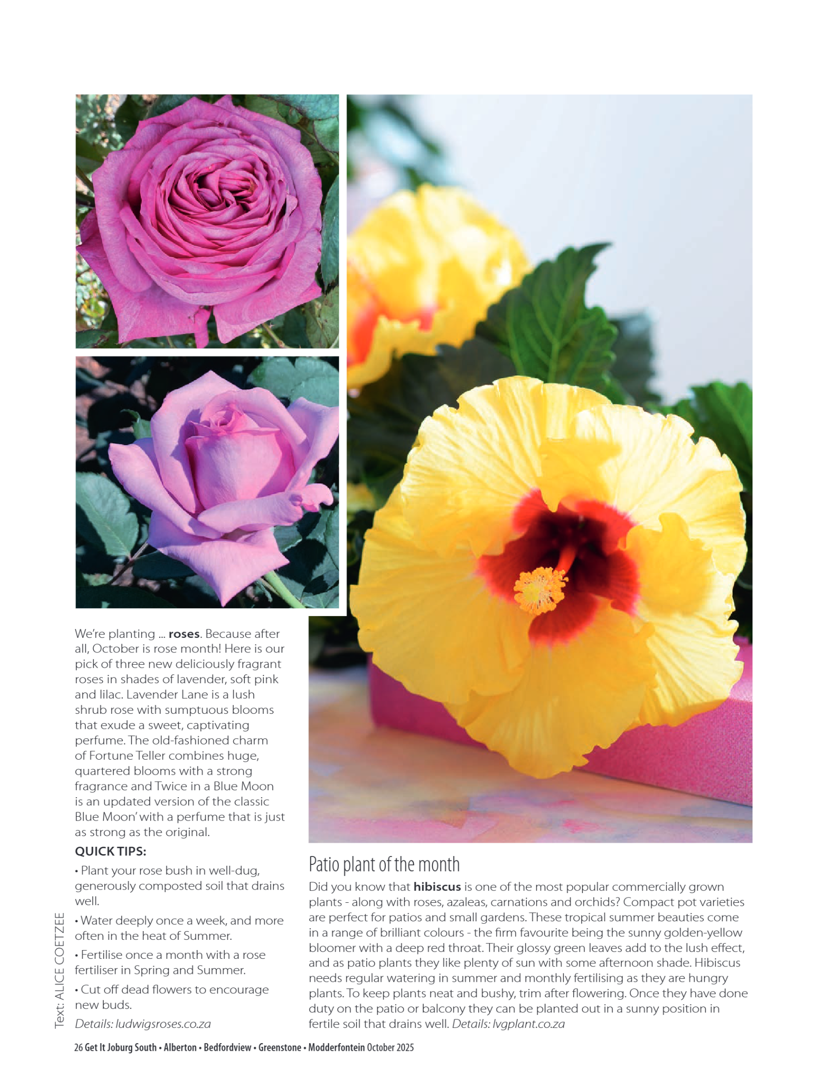 GetIT Mag Oct 2025 page 26