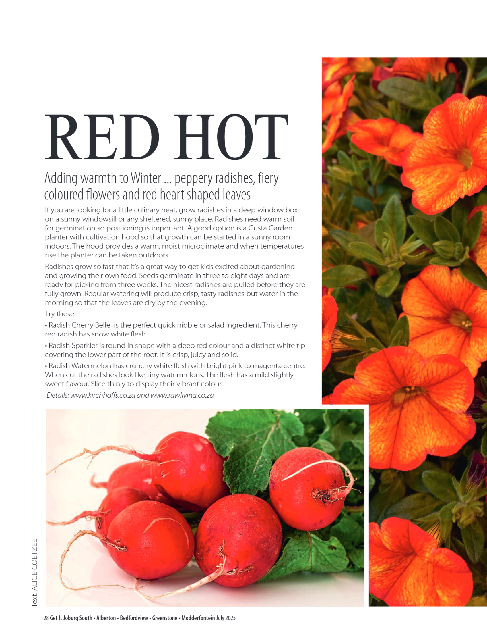 Getit East South July 2025 Mag page 28