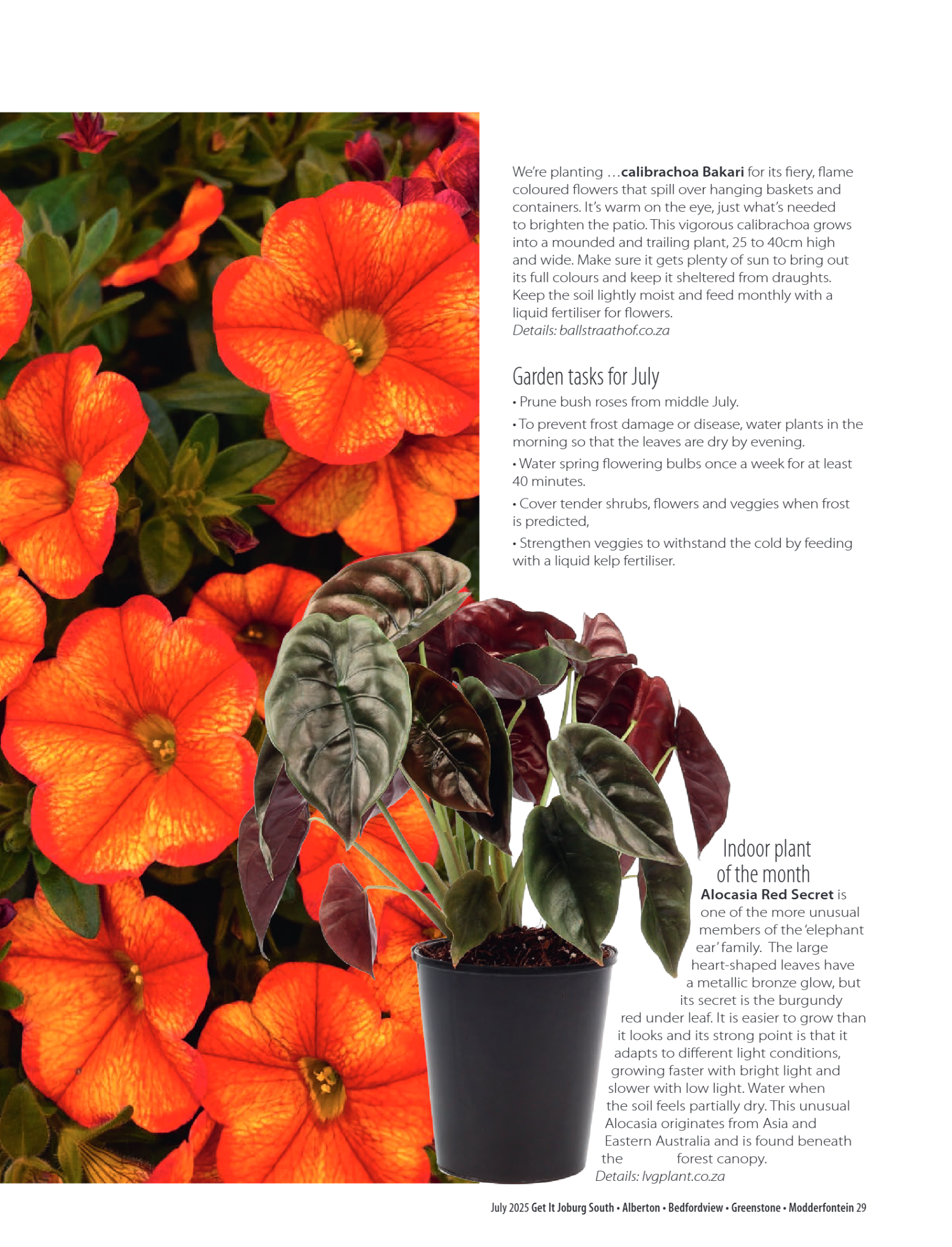 Getit East South July 2025 Mag page 29